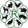 Montes Rosber